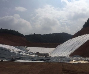 防草布样品|防草布生产厂